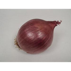 Produce - Organic Onion Red