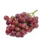 ORGANIC RED SEEDLESS GRAPES