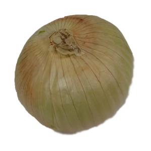 Fresh Produce - Organic Sweet Onions