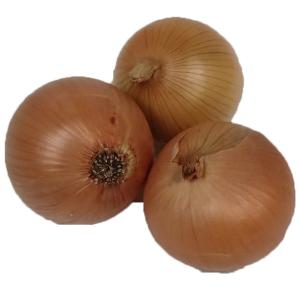 Fresh Produce - Organic Yellow Onions
