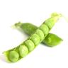 PEA SUGAR SNAP