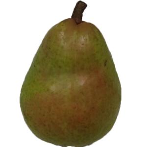 Organic Produce - Pear Barlett