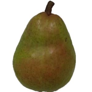 Northwest - Pears Bartlett