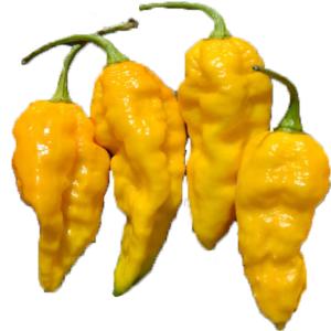 Fresh Produce - Pepper Chili Yellow