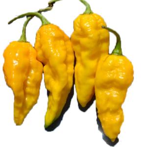 Fresh Produce - Pepper Chili Yellow