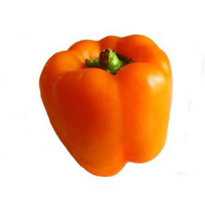 Fresh Produce - Pepper Orange