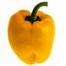 PEPPER YELLOW