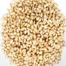 Pine Nuts