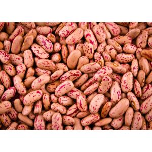 Fresh Produce - Pink Kidney Beans