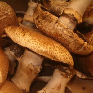 Fresh Produce - Portabello Mushroom Caps