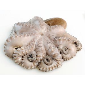 Shellfish - Pulpo Iqf Wild Octopus