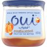 PUMPKIN CARAMEL YOGURT