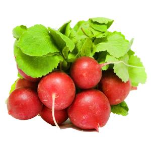 Fresh Produce - Radish Red