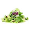SALAD MESCLUN