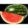 SEEDLESS WATERMELON