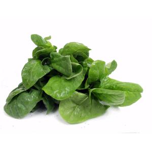 Fresh Produce - Spinach Salad