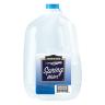 SPRING WATER
