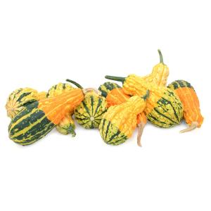 Produce - Squash Green and Yellow