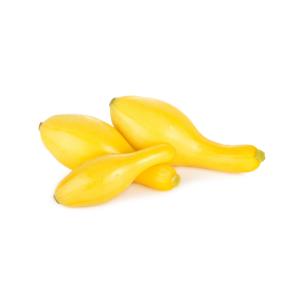 Fresh Produce - Squash Yellow Crookneck