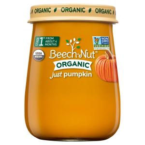 Beechnut - Stage 1 Organic Just Pumpkin