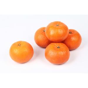 Florida - Tangerine Honey Murcott