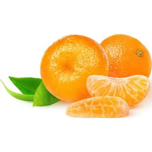 Florida - Tangerinetangelo