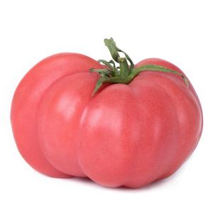 Fresh Produce - Tomato Native Home Grown