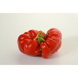 Fresh Produce - Tomato Uglyripes