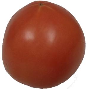 Fresh Produce - Tomatoes 5x6
