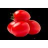 TOMATOES PLUM