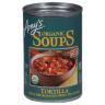 TORTILLA ORG SOUP