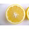 White Grapefruit
