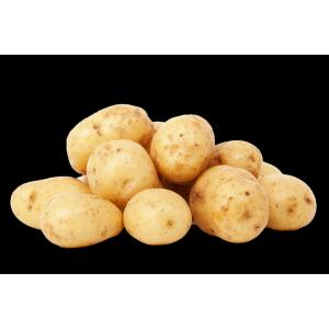 California - White Potato