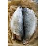 WHITEFISH FILLET WILD CAUGHT